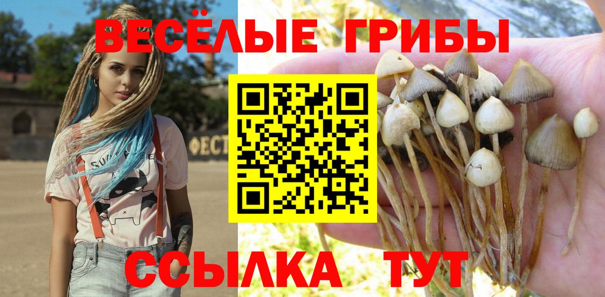 Кольчугино  Псилоцибиновые грибы Psilocybine cubensis  где купить наркоту  Вход с VPN 
