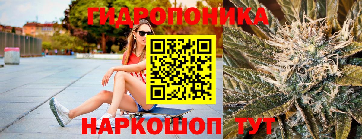 Марихуана Amnesia  Марихуана семена  Бошки марихуана THC 21%  Вход с VPN  Кольчугино 